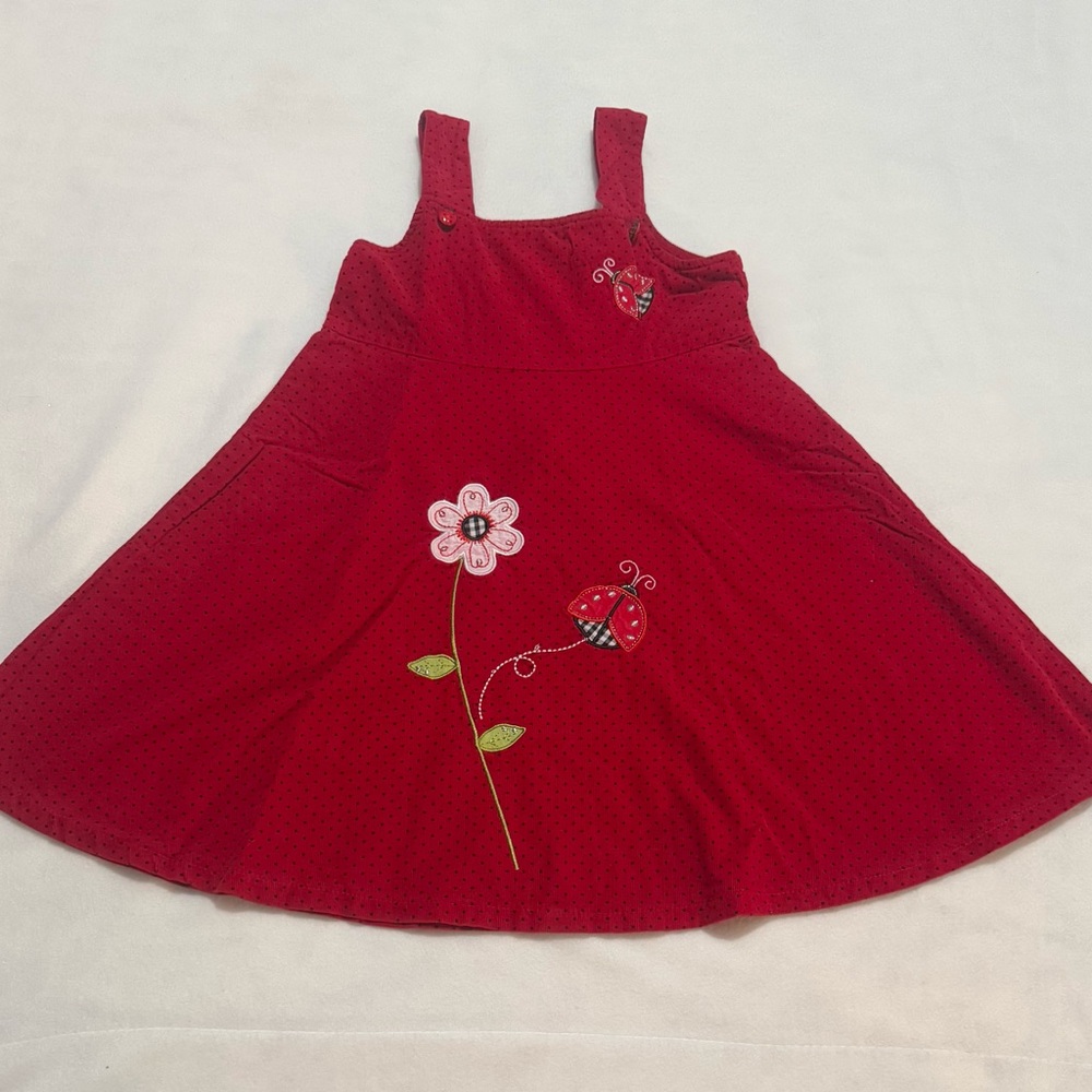 Red A Line Corduroy Dress with Embroidered